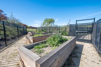 Community garden & resident planting garden